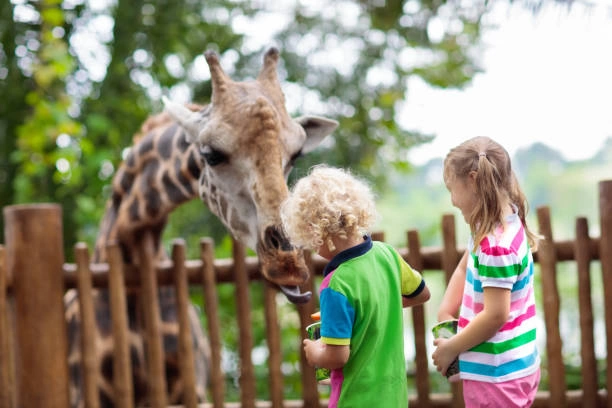 Zoo Experiences