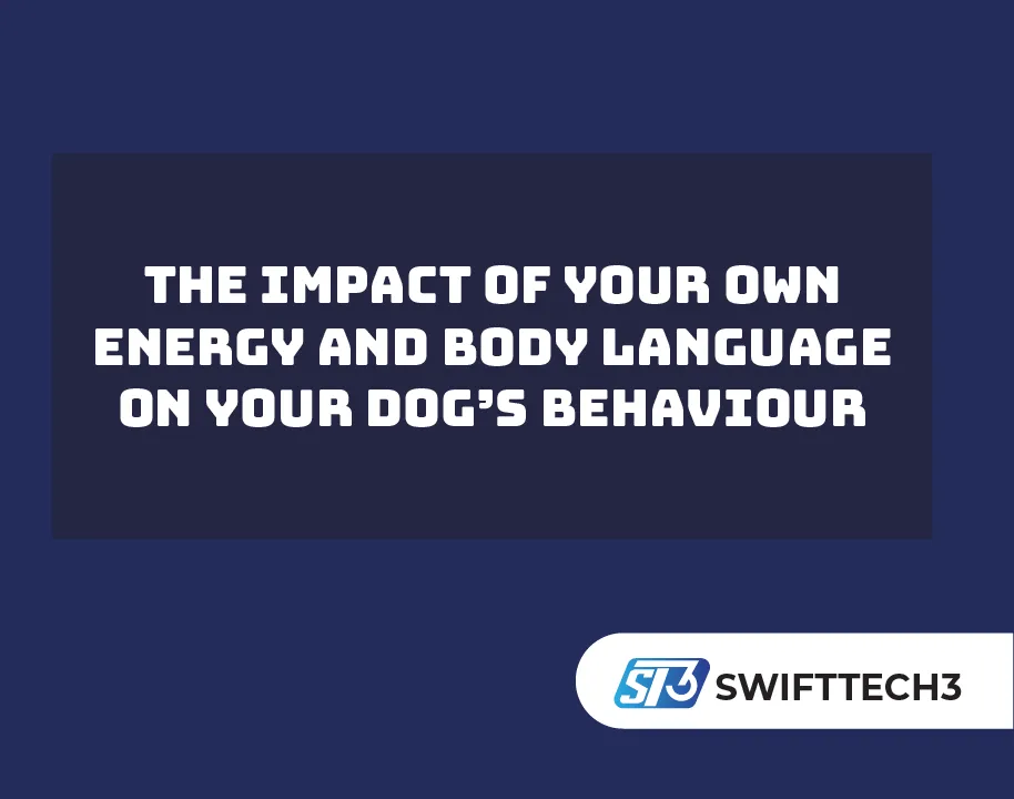 The Impact of Your Own Energy and Body Language on Your Dog’s Behaviour The Impact of Your Own Energy and Body Language on Your Dog’s Behaviour
